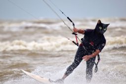 Chat noir, Eric Fomberteau, Maitres du vent, Sport, Kitesurf