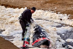 Serge Bodet, Maitres du vent, Sport, Kitesurf