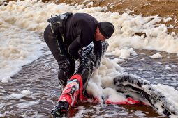 Serge Bodet, Maitres du vent, Sport, Kitesurf