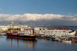 Bateau, Cargo, Port, Construction, Pont, Croisiere, Hangar, Nuage, Mer, Paysage, Tourisme