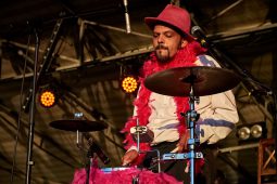 Anisette et Les Glacons, Concert
