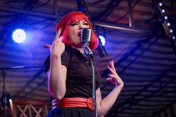 Anisette et Les Glacons, Concert