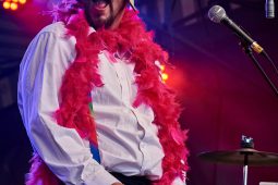 Anisette et Les Glacons, Concert