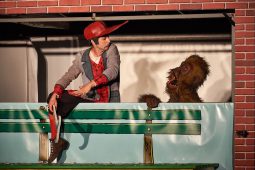 Annibal et ses Elephants, Spectacle