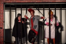 Annibal et ses Elephants, Spectacle