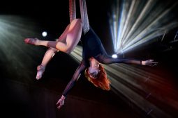 FDJ, Spectacle