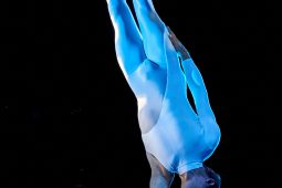 FDJ, Spectacle