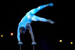 FDJ, Spectacle