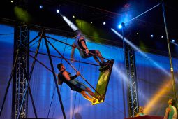 FDJ, Spectacle