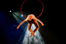 FDJ, Spectacle