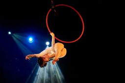 FDJ, Spectacle