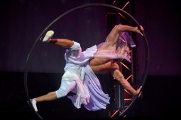 FDJ, Spectacle