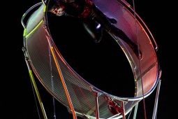 FDJ, Spectacle
