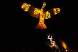 FDJ, Spectacle