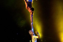 FDJ, Spectacle