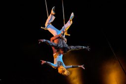 FDJ, Spectacle