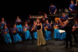 Concert, Les Cordes d'Argent