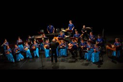Concert, Les Cordes d'Argent