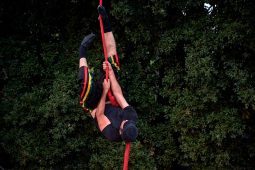 Spectacle, Compagnie Singuliere