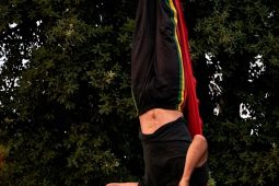 Spectacle, Compagnie Singuliere