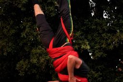 Spectacle, Compagnie Singuliere