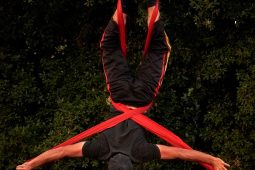Spectacle, Compagnie Singuliere
