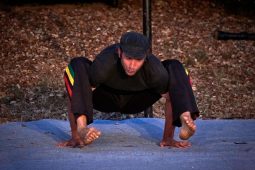 Spectacle, Compagnie Singuliere