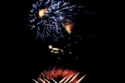 Bresil, Festival pyrotechnique