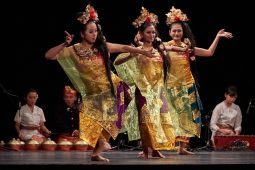 IOV Indonesia, Spectacle