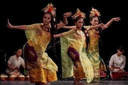 IOV Indonesia, Spectacle