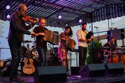Aloubi, Concert