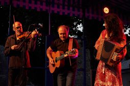 Aloubi, Concert