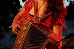Aloubi, Concert