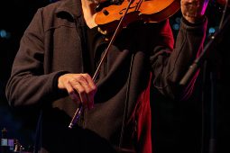 Aloubi, Concert