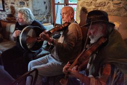 An Seisiun, Concert