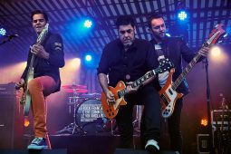 Cachemire, Concert
