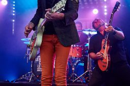 Cachemire, Concert