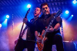 Cachemire, Concert