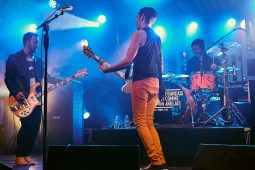 Cachemire, Concert