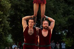 Cie Les P'tits Bras, Spectacle