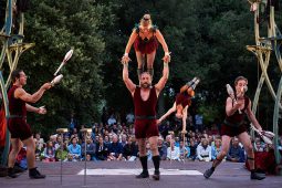 Cie Les P'tits Bras, Spectacle
