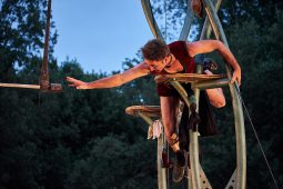 Cie Les P'tits Bras, Spectacle