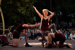 Cie Les P'tits Bras, Spectacle