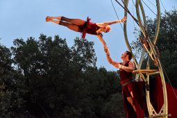 Cie Les P'tits Bras, Spectacle