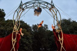 Cie Les P'tits Bras, Spectacle