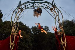 Cie Les P'tits Bras, Spectacle
