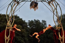 Cie Les P'tits Bras, Spectacle