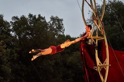 Cie Les P'tits Bras, Spectacle