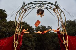Cie Les P'tits Bras, Spectacle