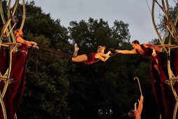 Cie Les P'tits Bras, Spectacle